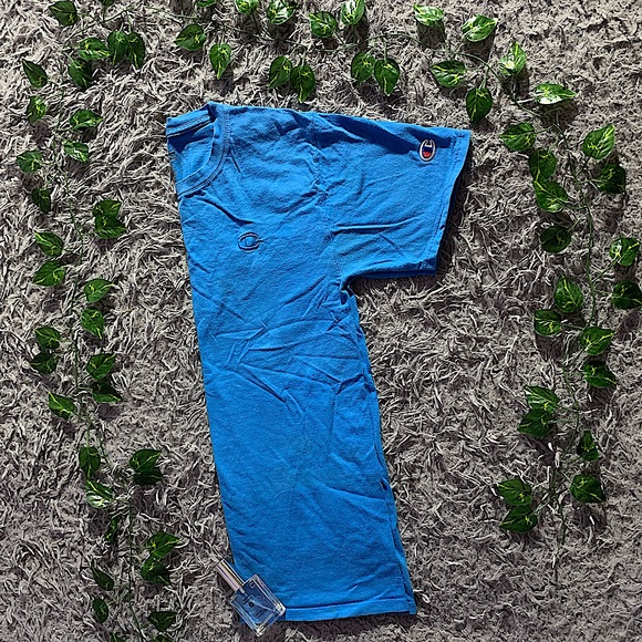 Champion - Picture 2 of 2